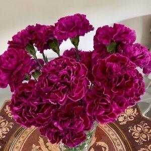 Meet your Posher, Rena